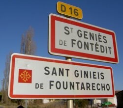 SaintGenies-sign