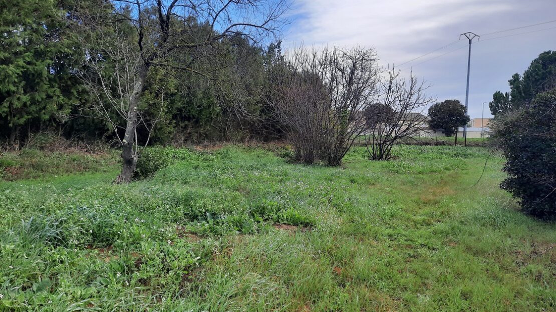 Constructible Plot Of About 795 M2 Located 15 Minutes From Beziers, In A Dynamic Village And Not In An Estate.